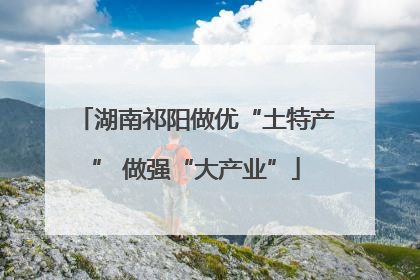 湖南祁阳做优“土特产” 做强“大产业”