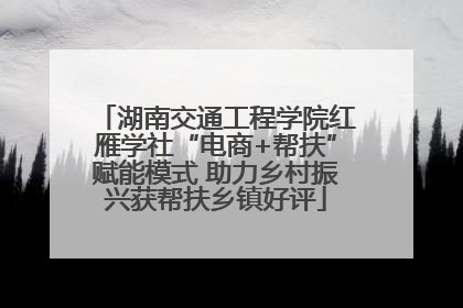 湖南交通工程学院红雁学社“电商+帮扶”赋能模式 助力乡村振兴获帮扶乡镇好评