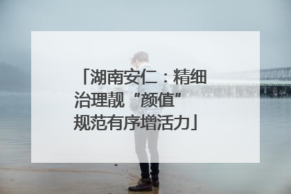 湖南安仁：精细治理靓“颜值” 规范有序增活力