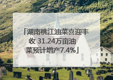 湖南桃江油菜喜迎丰收 31.24万亩油菜预计增产7.4%