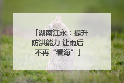 湖南江永：提升防洪能力 让雨后不再“看海”