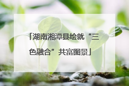 湖南湘潭县绘就“三色融合”共富图景