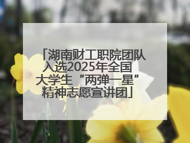 湖南财工职院团队入选2025年全国大学生“两弹一星”精神志愿宣讲团