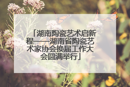 湖南陶瓷艺术启新程——湖南省陶瓷艺术家协会换届工作大会圆满举行