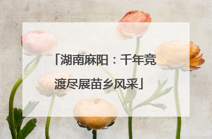 湖南麻阳：千年竞渡尽展苗乡风采