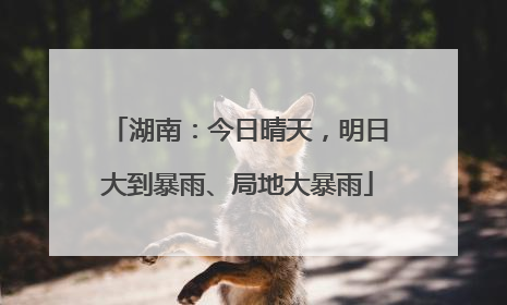 湖南：今日晴天，明日大到暴雨、局地大暴雨