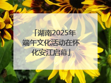 湖南2025年端午文化活动在怀化安江启幕