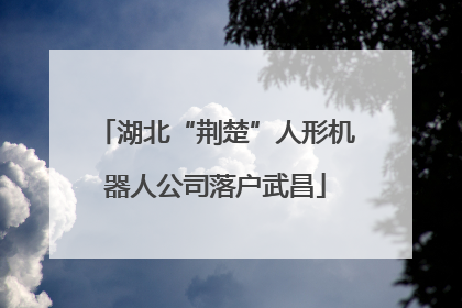 湖北“荆楚”人形机器人公司落户武昌