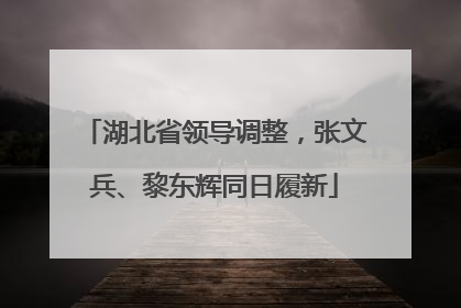 湖北省领导调整，张文兵、黎东辉同日履新