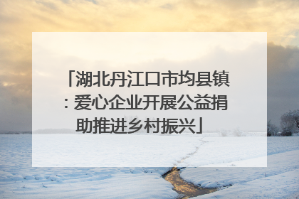 湖北丹江口市均县镇：爱心企业开展公益捐助推进乡村振兴