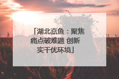 湖北嘉鱼：聚焦痛点破难题 创新实干优环境