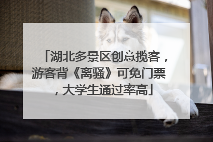 湖北多景区创意揽客，游客背《离骚》可免门票，大学生通过率高