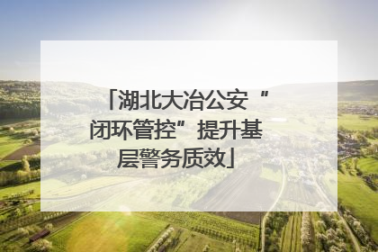 湖北大冶公安“闭环管控”提升基层警务质效