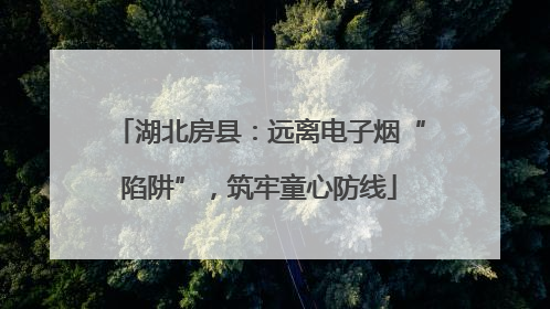 湖北房县：远离电子烟“陷阱”，筑牢童心防线