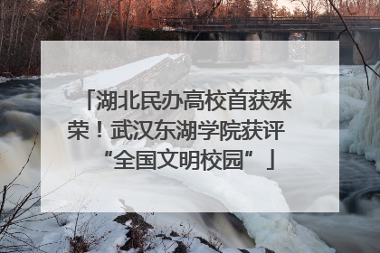 湖北民办高校首获殊荣！武汉东湖学院获评“全国文明校园”