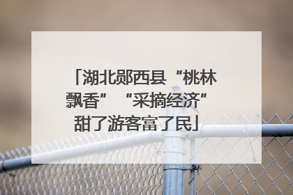 湖北郧西县“桃林飘香”“采摘经济”甜了游客富了民