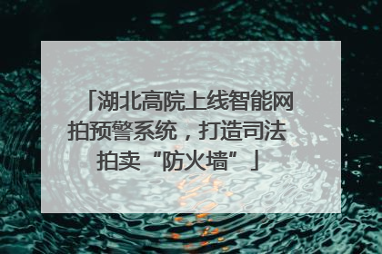 湖北高院上线智能网拍预警系统，打造司法拍卖“防火墙”