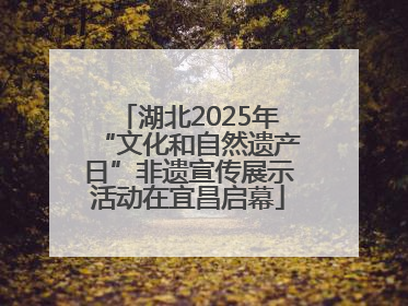 湖北2025年“文化和自然遗产日”非遗宣传展示活动在宜昌启幕