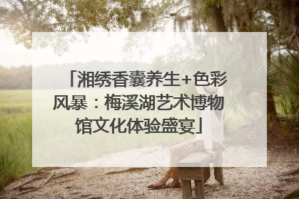 湘绣香囊养生+色彩风暴：梅溪湖艺术博物馆文化体验盛宴