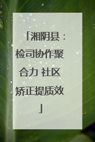 湘阴县：检司协作聚合力 社区矫正提质效