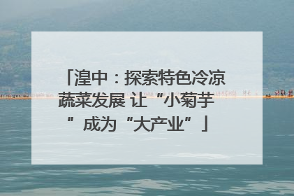 湟中：探索特色冷凉蔬菜发展 让“小菊芋”成为“大产业”