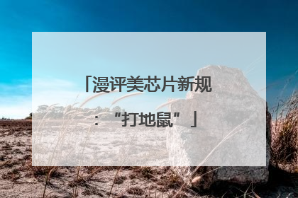 漫评美芯片新规：“打地鼠”