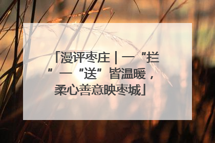 漫评枣庄｜一“拦”一“送”皆温暖，柔心善意映枣城
