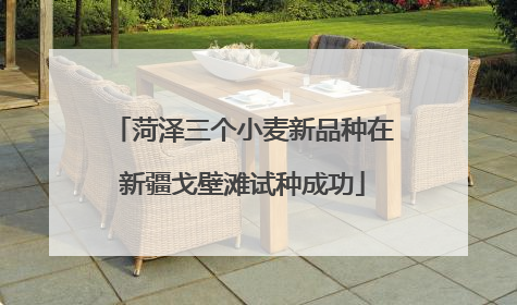 菏泽三个小麦新品种在新疆戈壁滩试种成功