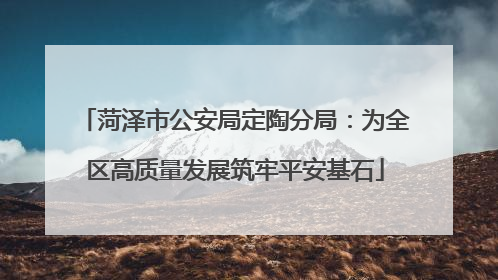 菏泽市公安局定陶分局：为全区高质量发展筑牢平安基石