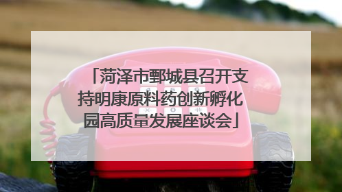 菏泽市鄄城县召开支持明康原料药创新孵化园高质量发展座谈会