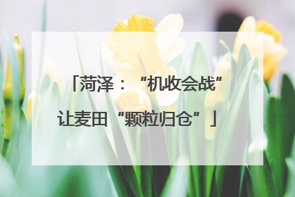 菏泽：“机收会战”让麦田“颗粒归仓”
