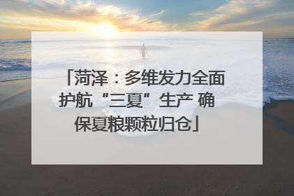 菏泽：多维发力全面护航“三夏”生产 确保夏粮颗粒归仓