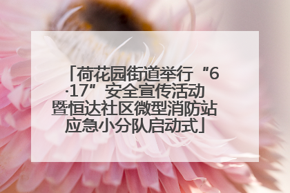 荷花园街道举行“6·17”安全宣传活动暨恒达社区微型消防站应急小分队启动式