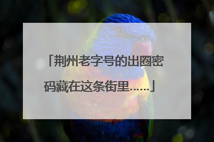 荆州老字号的出圈密码藏在这条街里……