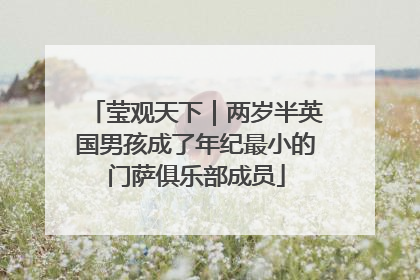莹观天下｜两岁半英国男孩成了年纪最小的门萨俱乐部成员