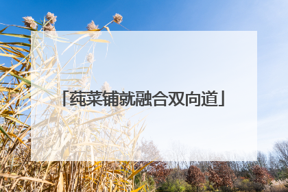 莼菜铺就融合双向道