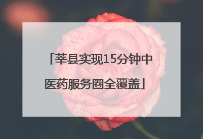 莘县实现15分钟中医药服务圈全覆盖