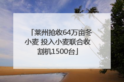 莱州抢收64万亩冬小麦 投入小麦联合收割机1500台