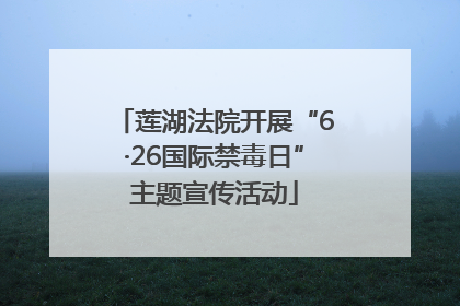 莲湖法院开展“6·26国际禁毒日”主题宣传活动