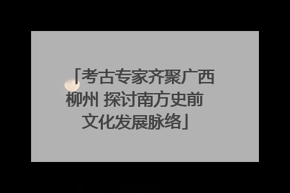 考古专家齐聚广西柳州 探讨南方史前文化发展脉络