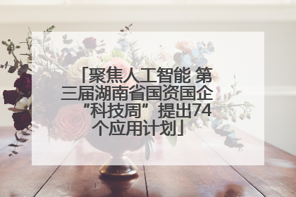 聚焦人工智能 第三届湖南省国资国企“科技周”提出74个应用计划