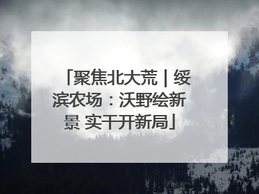 聚焦北大荒｜绥滨农场：沃野绘新景 实干开新局