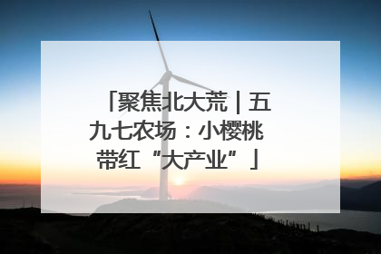 聚焦北大荒｜五九七农场：小樱桃带红“大产业”