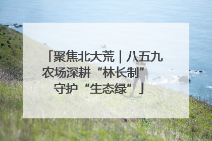 聚焦北大荒｜八五九农场深耕“林长制” 守护“生态绿”