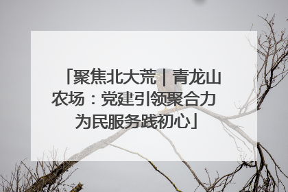 聚焦北大荒｜青龙山农场：党建引领聚合力 为民服务践初心