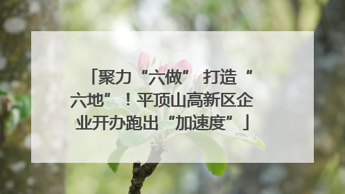 聚力“六做” 打造“六地”！平顶山高新区企业开办跑出“加速度”
