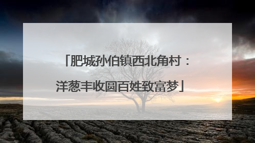 肥城孙伯镇西北角村：洋葱丰收圆百姓致富梦