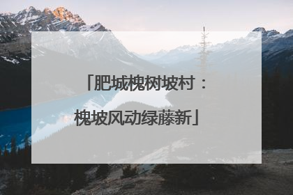 肥城槐树坡村：槐坡风动绿藤新