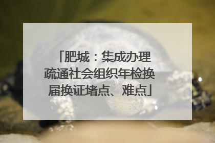 肥城：集成办理 疏通社会组织年检换届换证堵点、难点