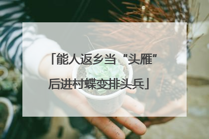 能人返乡当“头雁” 后进村蝶变排头兵